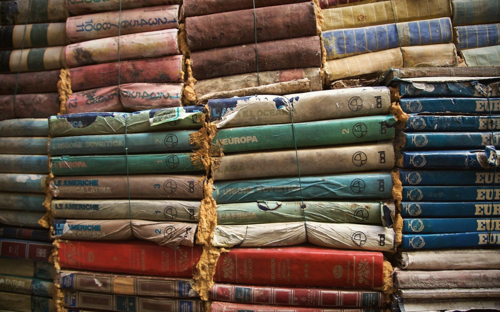Comfort Re-Reads Worth Returning To