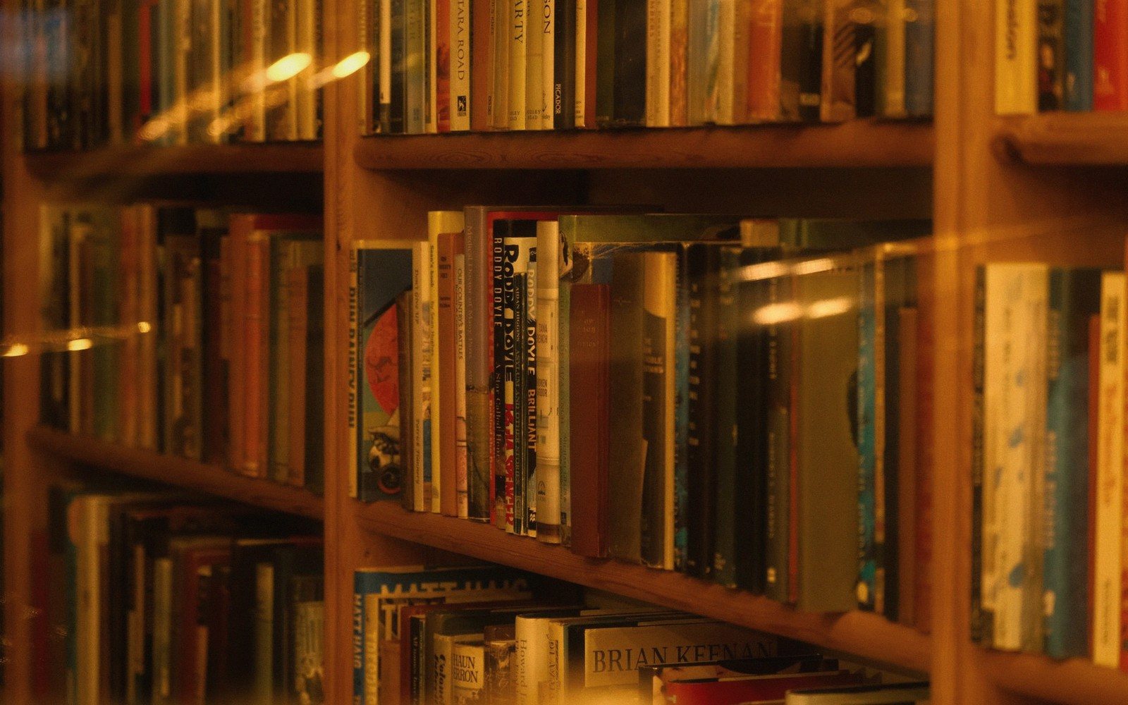 an indie-bookshop interior